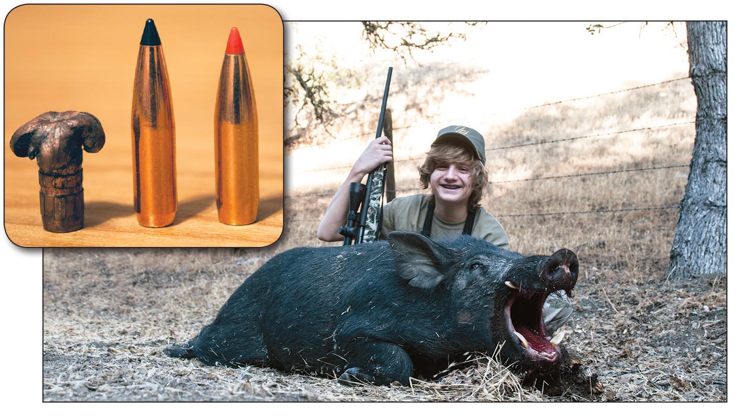 Most hog hunters believe 6mm bullets are too light and small to use on hogs, but modern examples outperform older designs. At left is a Barnes Triple-Shock that penetrated into the offside foreleg of this nice tusker. The Swift 90-grain Scirocco II and Hornady 85-grain InterBond would have done the job as well.